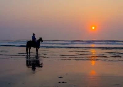 horse riding on a beach at sunset